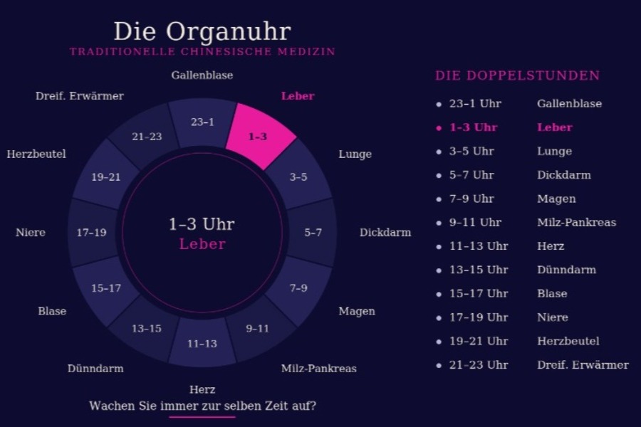 Die chinesische Organuhr als Kreis mit zwölf Doppelstunden, die Leberzeit von 1 bis 3 Uhr in Pink hervorgehoben.